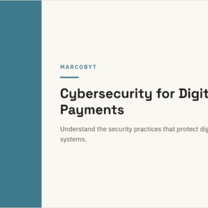 Cybersecurity for Digital Payments